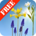 spring meadow free android application logo